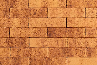 ТАЙГА МОРОШКА 0,7НФ ЛИКОЛОР