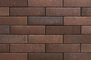 ТАЙГА МОРИОН ЮГ 1НФ ЛИКОЛОР