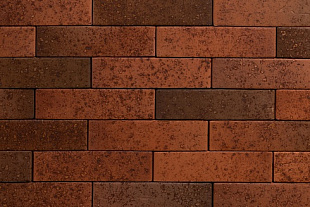 ТАЙГА МОРИОН НА ЗАРЕ 1НФ ЛИКОЛОР